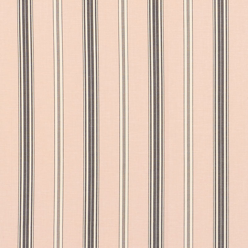 STRISCIA COCCO | ARROSSIRE