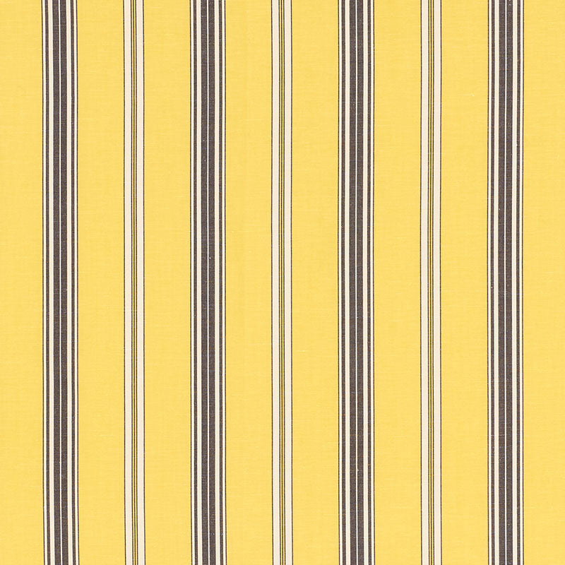 STRISCIA COCCO | GIALLO