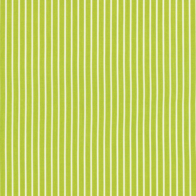 EDIE STRISCIA | VERDE