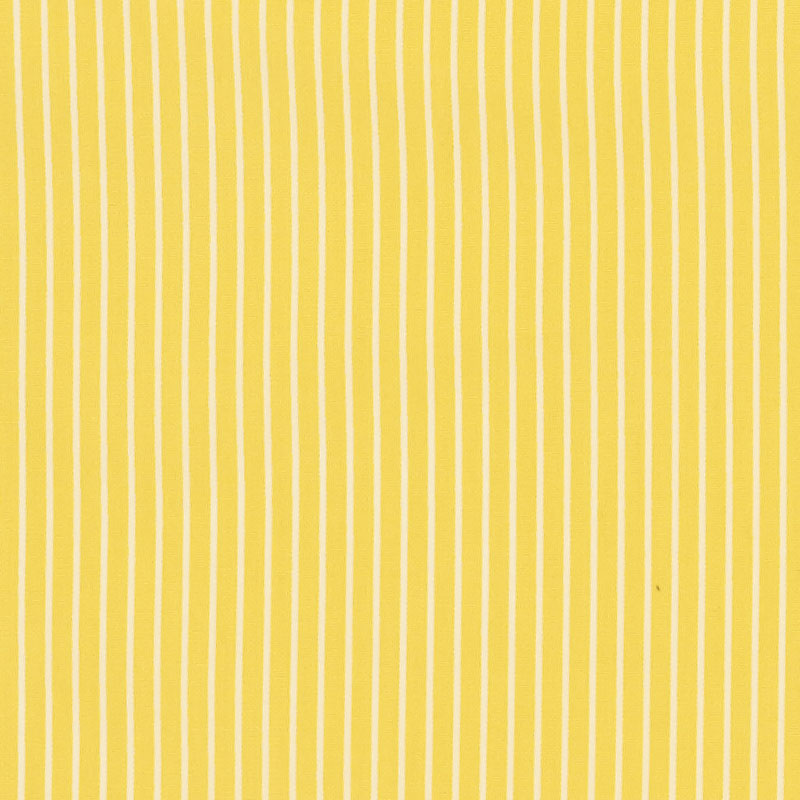 EDIE STRISCIA | GIALLO