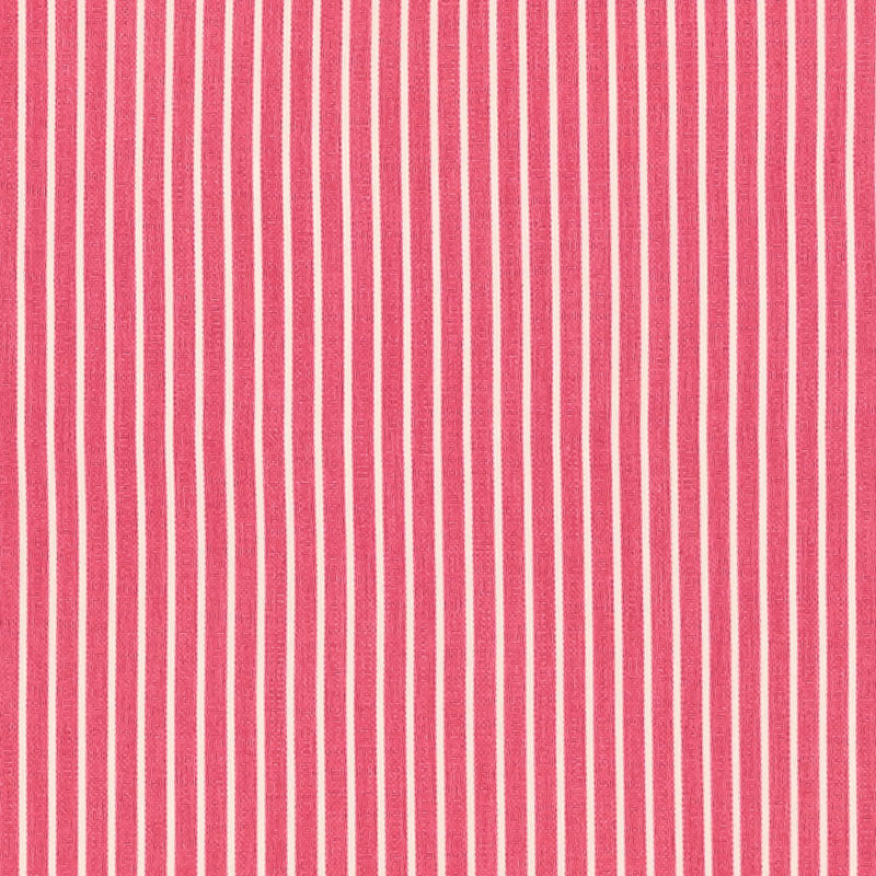 EDIE STRISCIA | ROSA