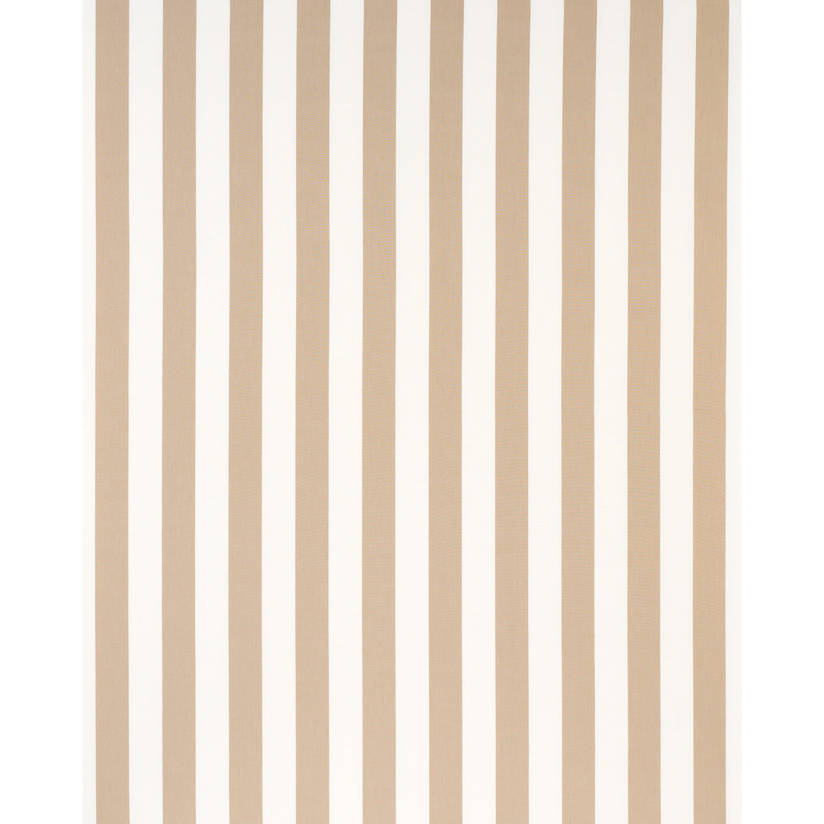 ANDY STRISCIA | SABBIA