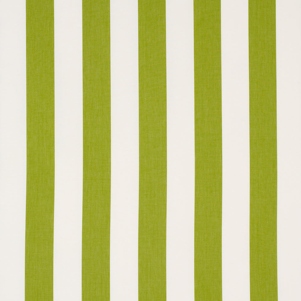 ANDY STRIPE | Green