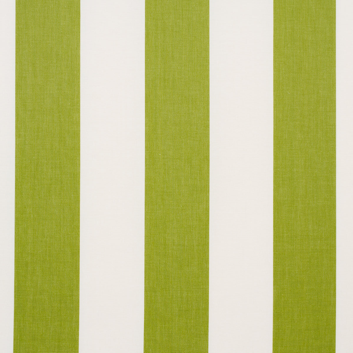 ANDY STRIPE | Green