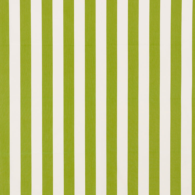 ANDY STRISCIA | VERDE