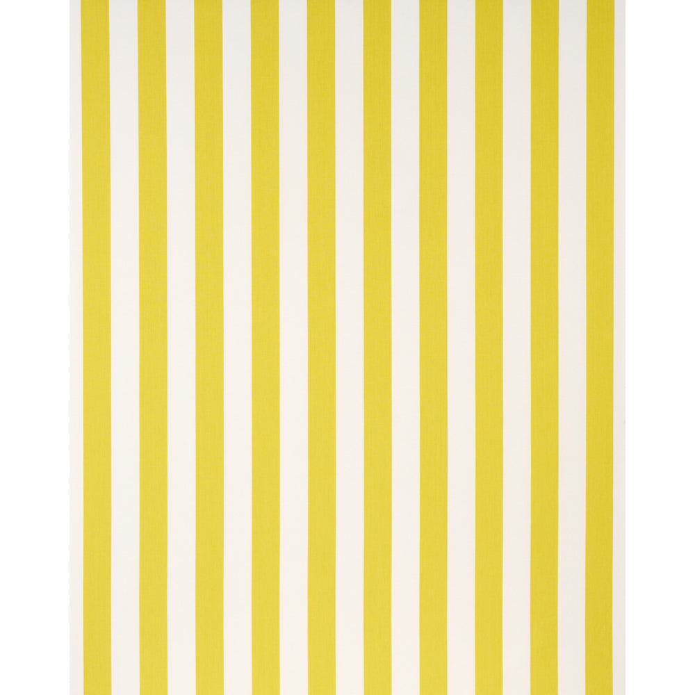 ANDY STRISCIA | GIALLO