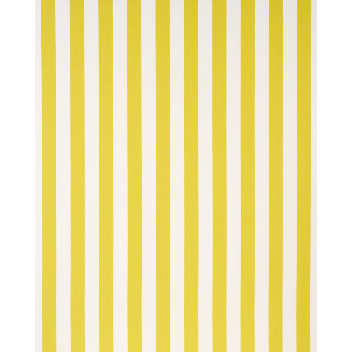 ANDY STRISCIA | GIALLO