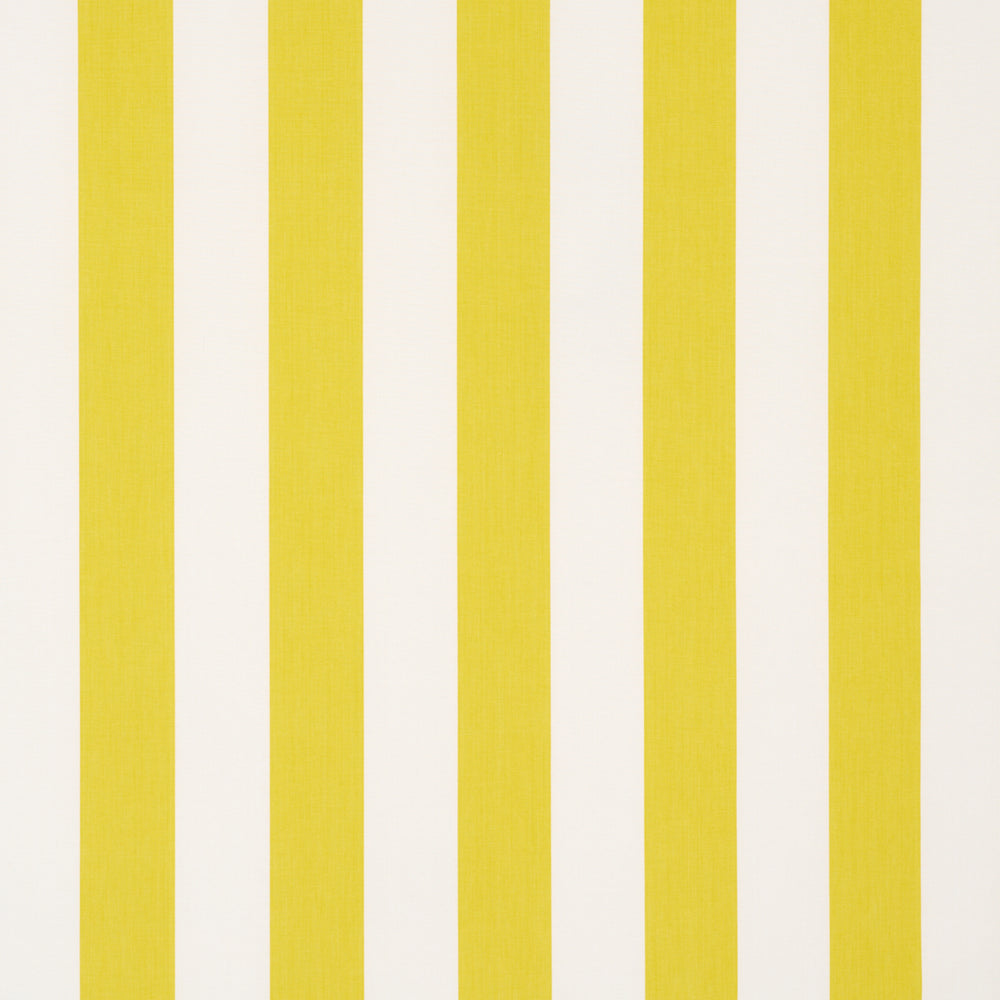ANDY STRISCIA | GIALLO