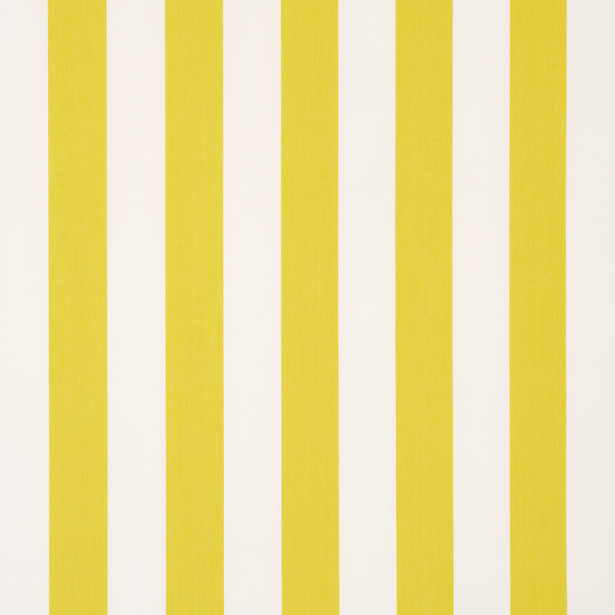 ANDY STRISCIA | GIALLO