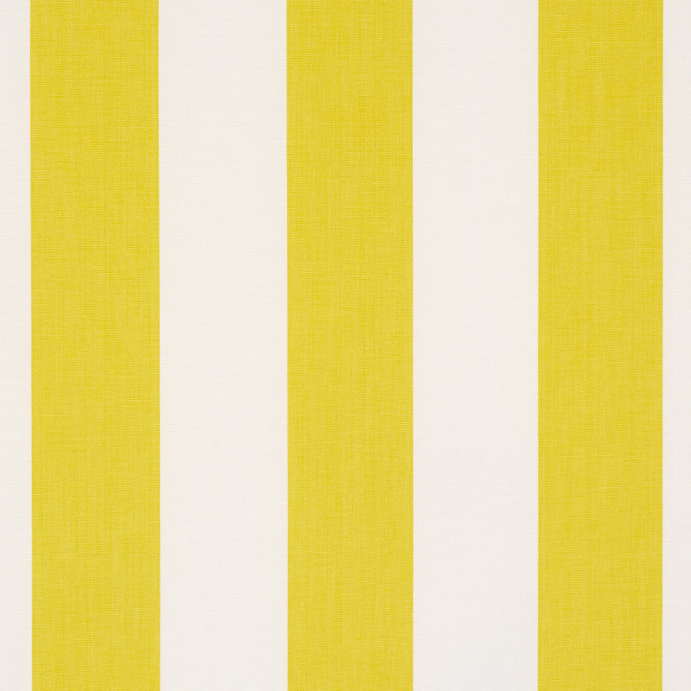 ANDY STRISCIA | GIALLO