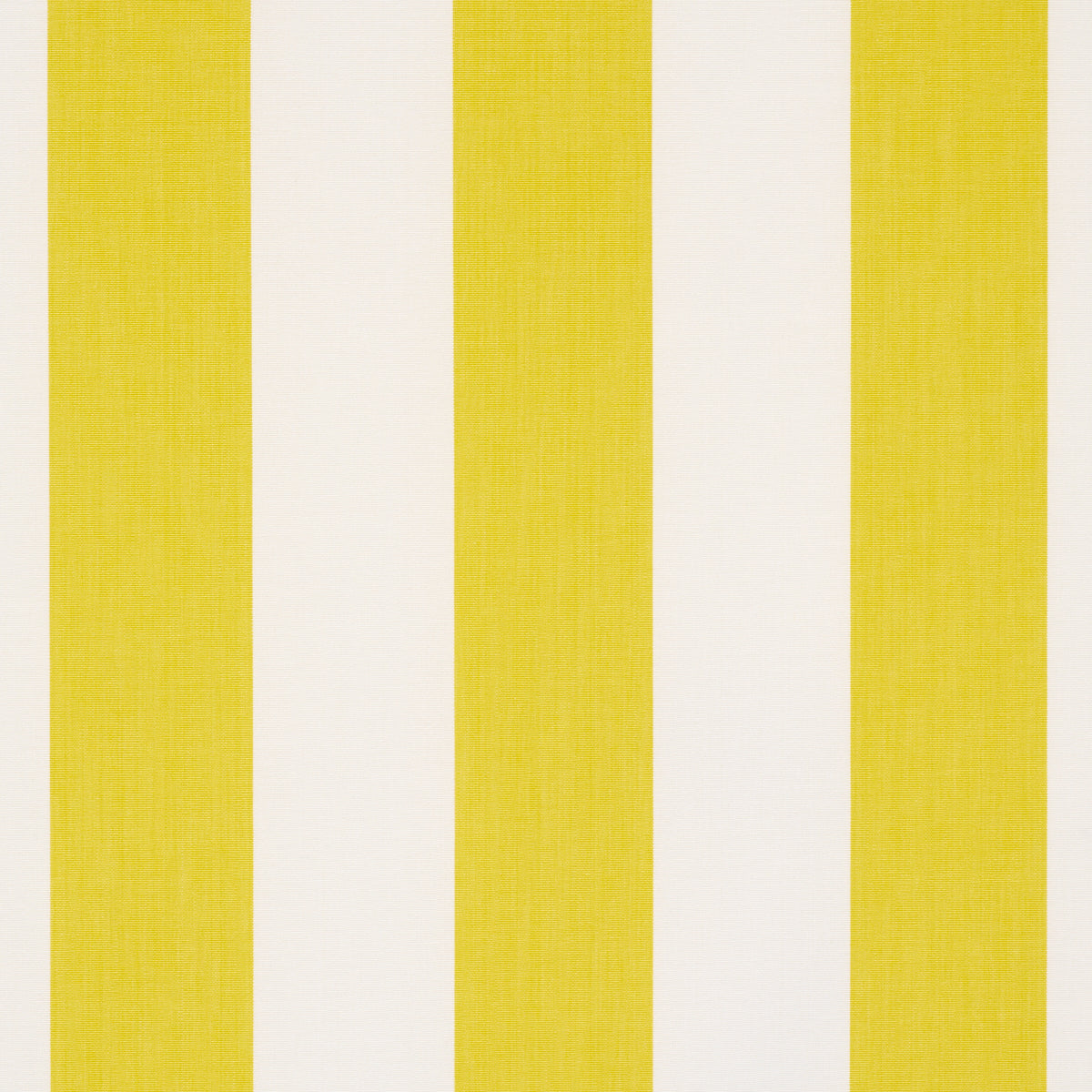 ANDY STRISCIA | GIALLO