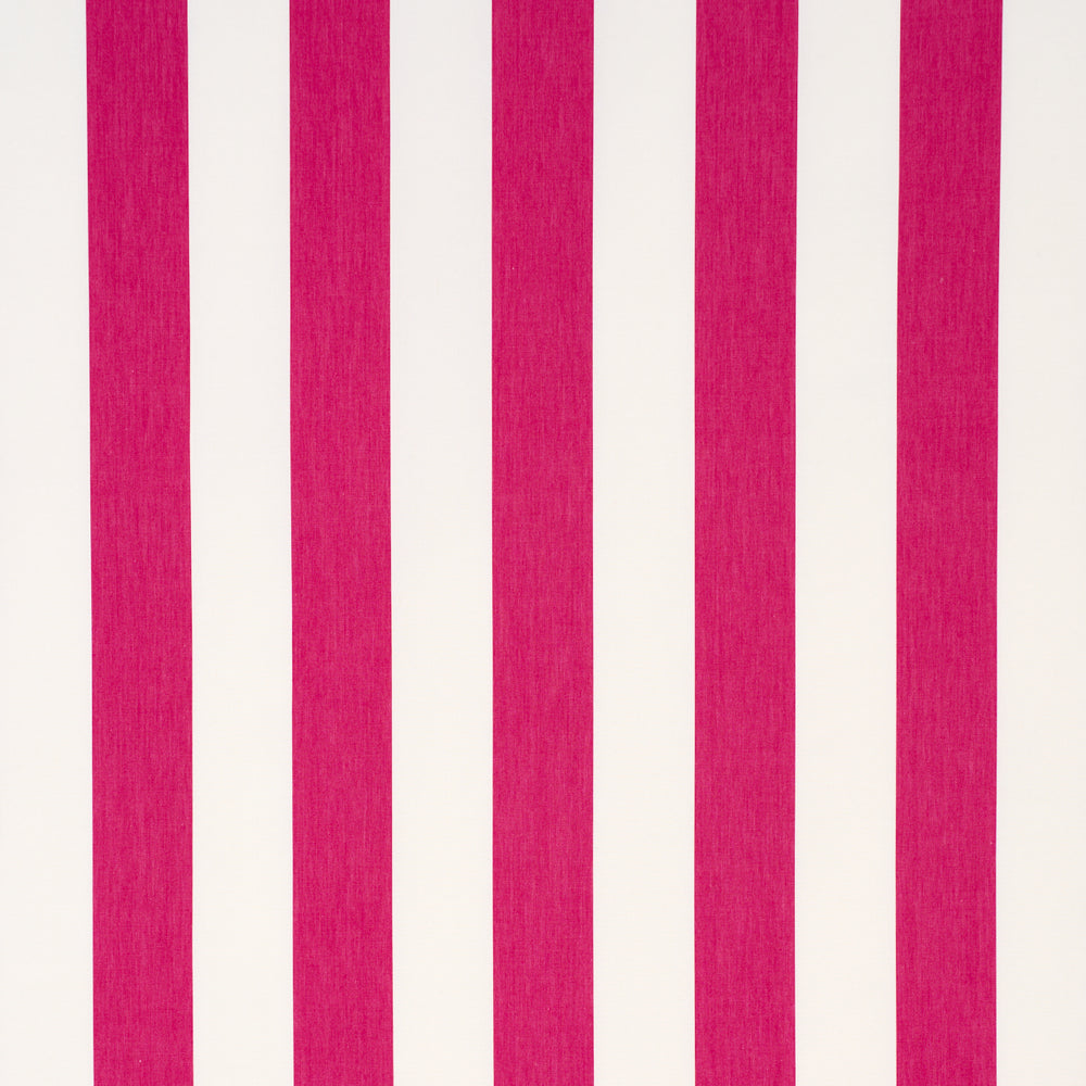 ANDY STRISCIA | ROSA
