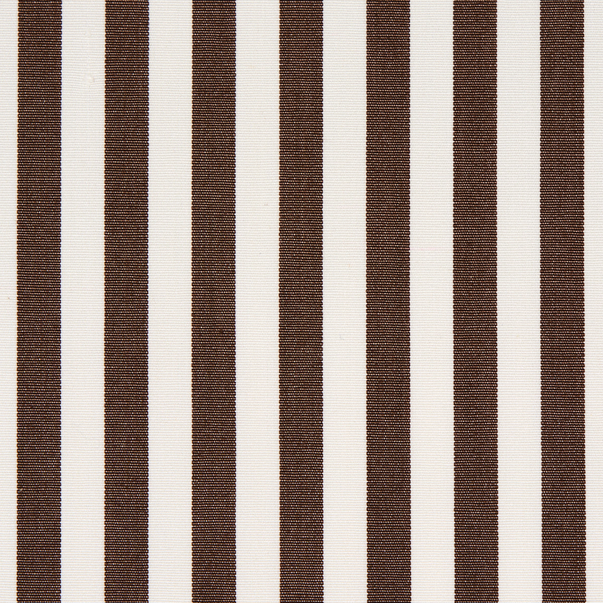 STRISCIA BRIGITTE | MARRONE