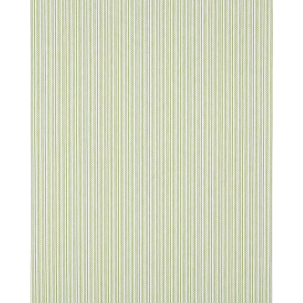 JACK STRISCIA | VERDE