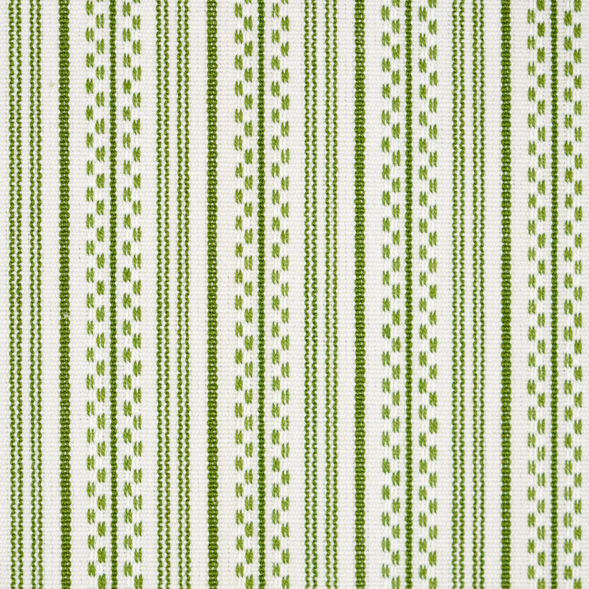 JACK STRISCIA | VERDE