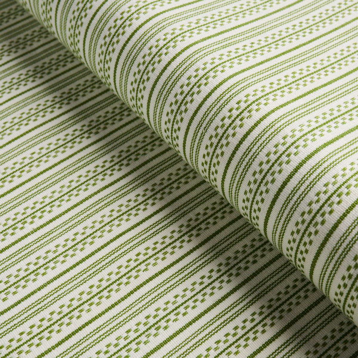 JACK STRISCIA | VERDE