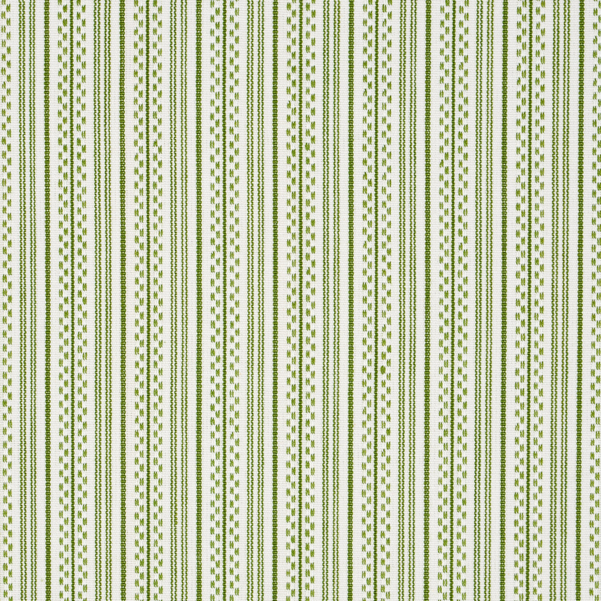 JACK STRISCIA | VERDE