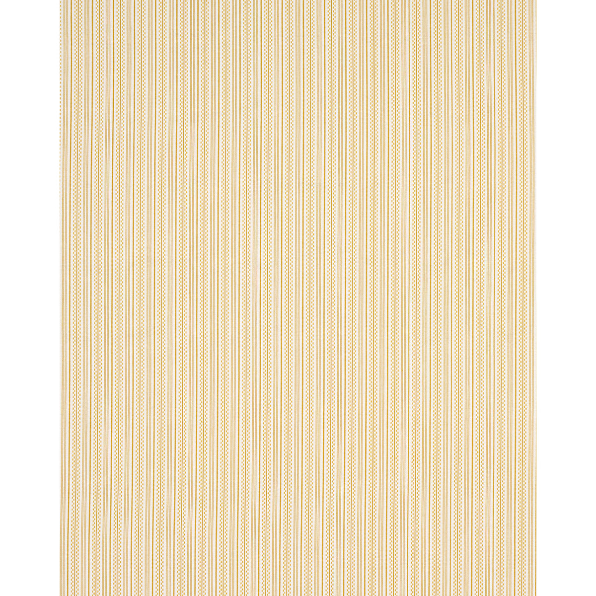JACK STRISCIA | GIALLO