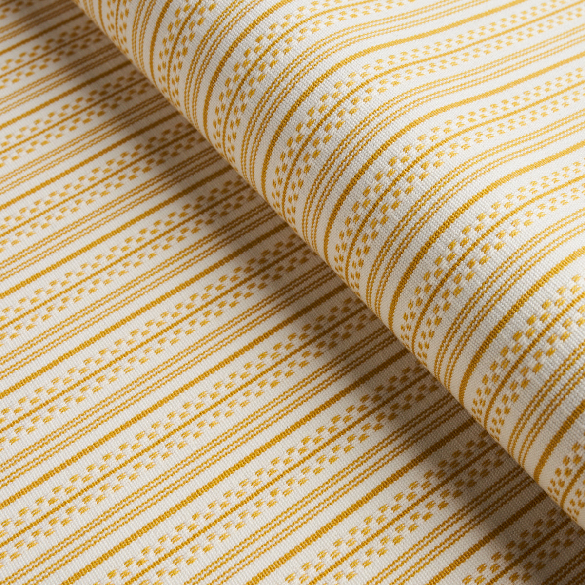 JACK STRISCIA | GIALLO