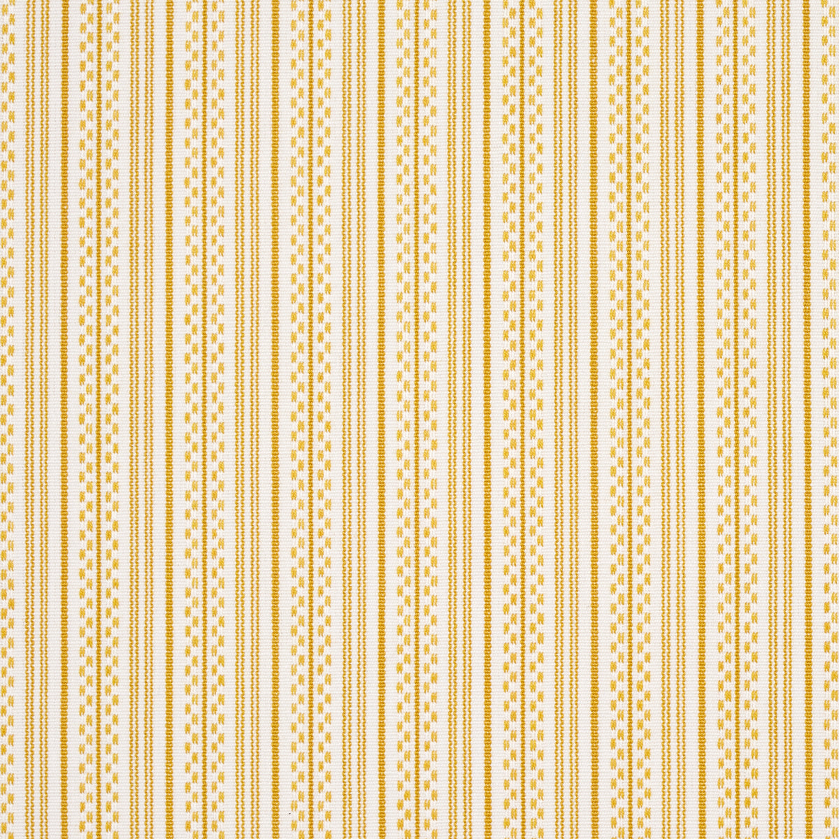 JACK STRISCIA | GIALLO