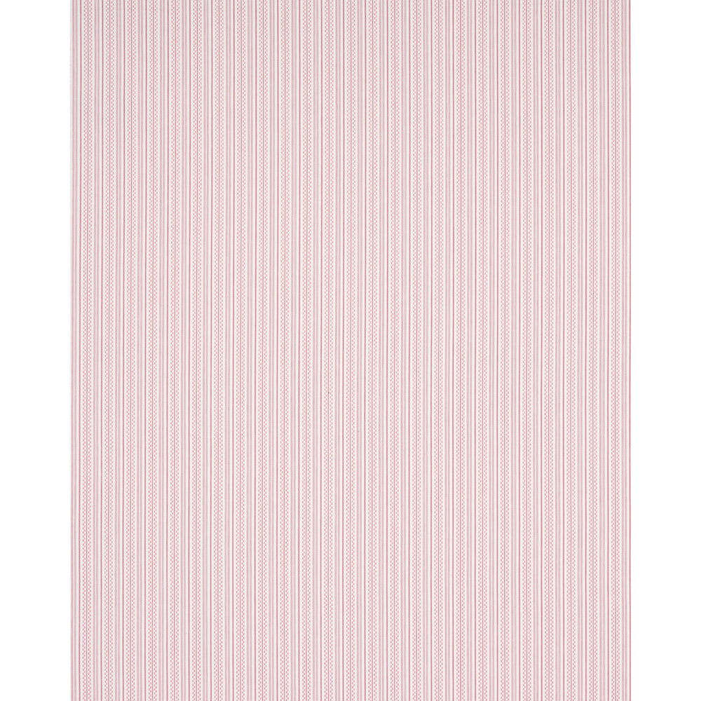 JACK STRISCIA | ROSA