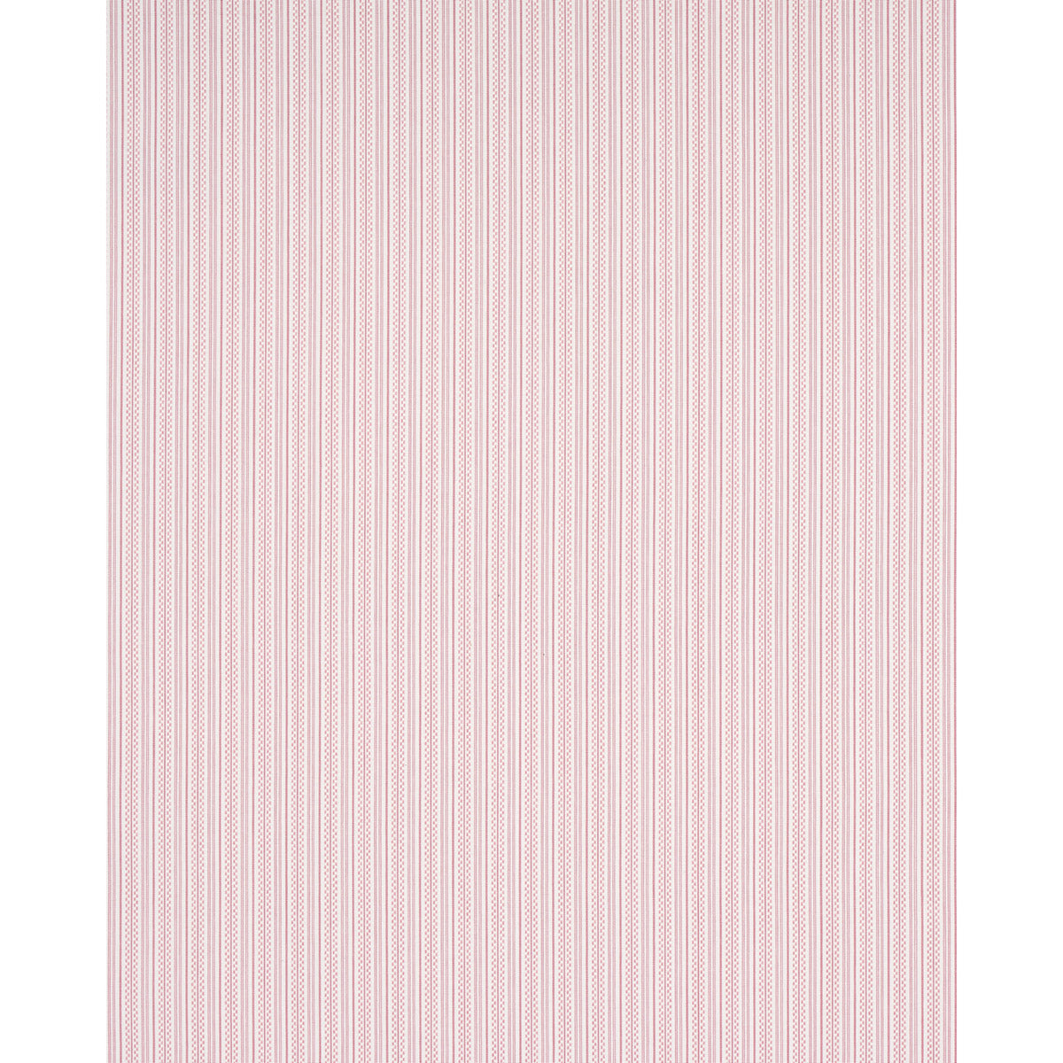 JACK STRISCIA | ROSA