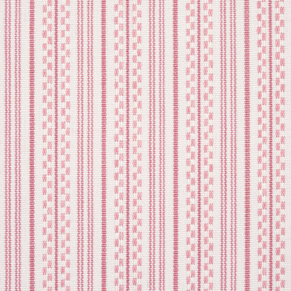 JACK STRISCIA | ROSA