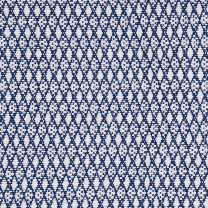 ZOILA | BLU