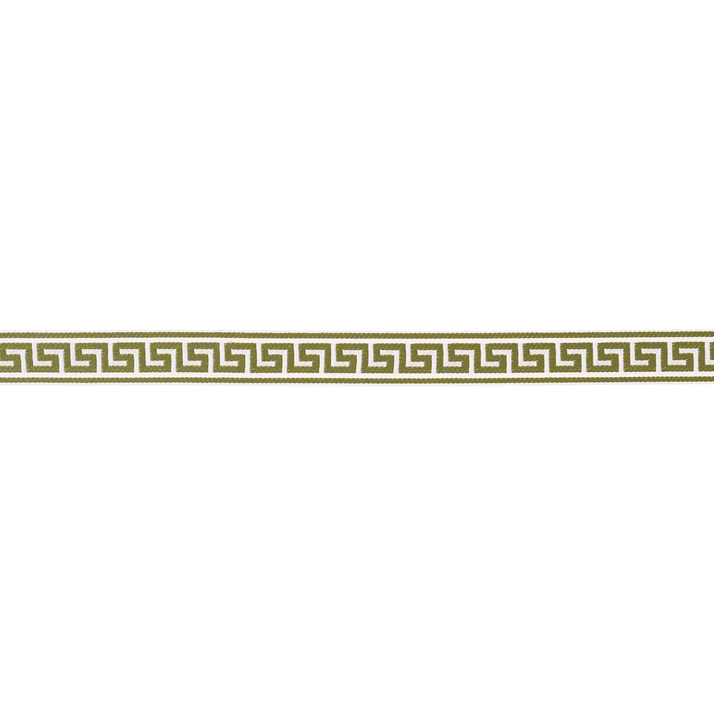 GANTON TAPE INDOOR/OUTDOOR | Grass