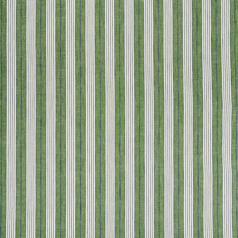 STRISCIA DI CAVALLO | VERDE
