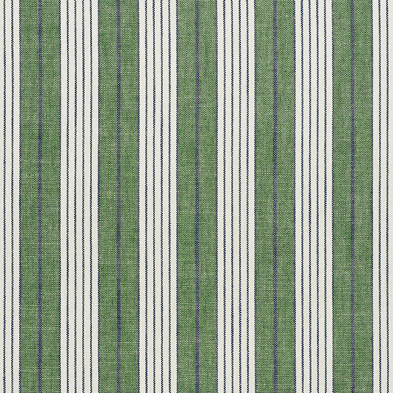 STRISCIA DI CAVALLO | VERDE