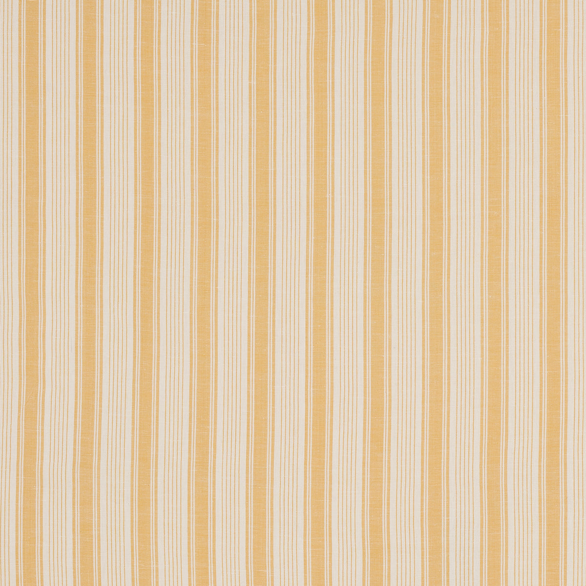STRISCIA OJAI | GIALLO