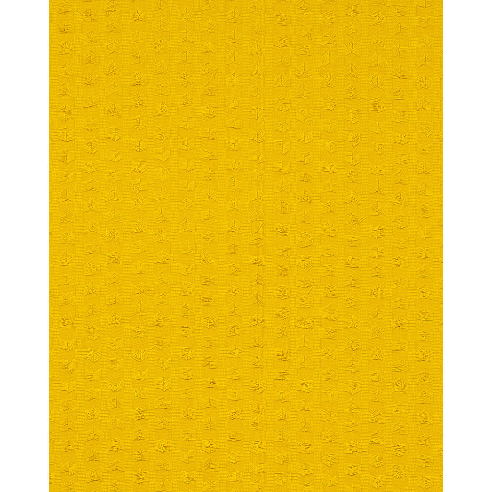 FRANGIA MONTEGO | GIALLO