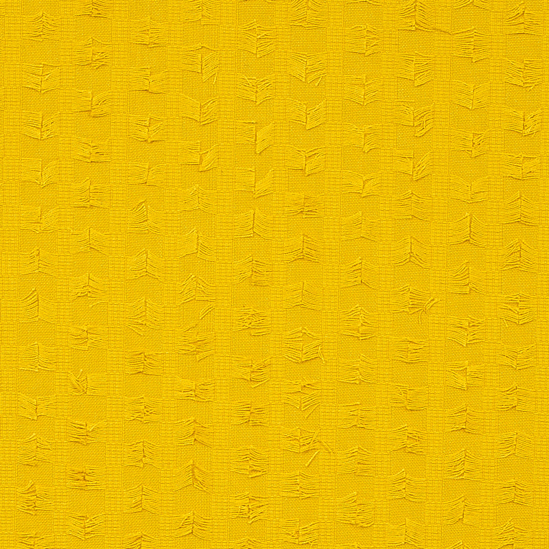 FRANGIA MONTEGO | GIALLO
