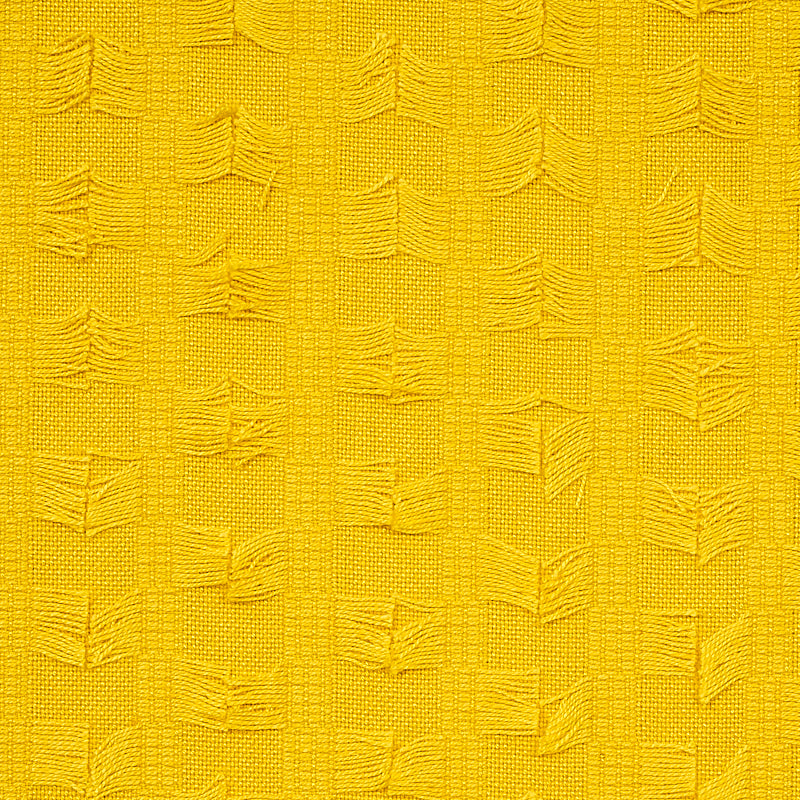 FRANGIA MONTEGO | GIALLO