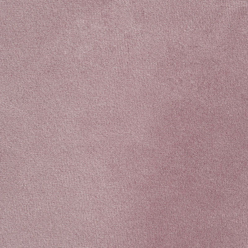 EMPRESS PERFORMANCE VELVET | Thistle