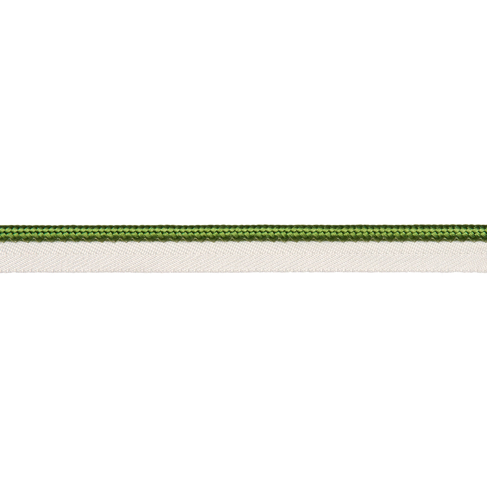 GUSTAVE SILK LIP CORD MEDIUM | Green