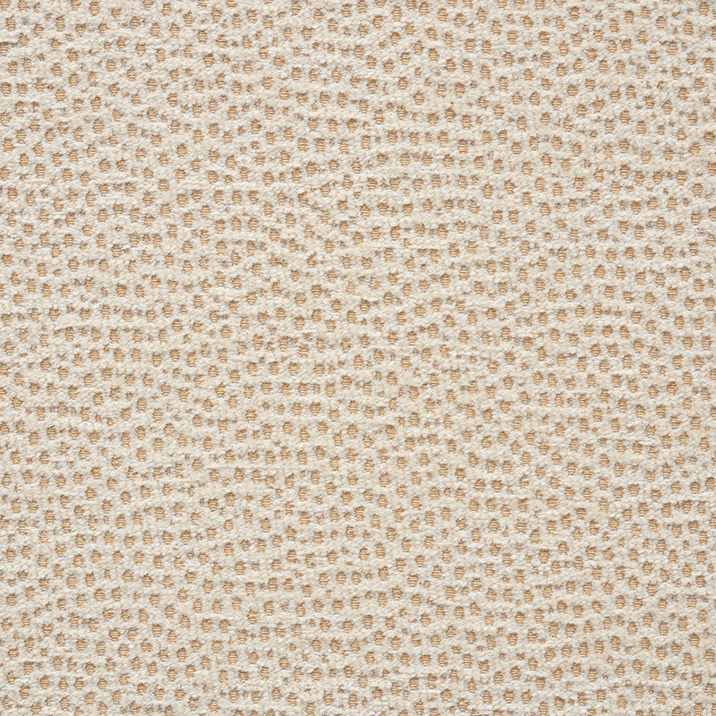 STINGRAY | Champagne