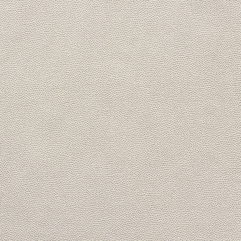 STINGRAY | Pewter