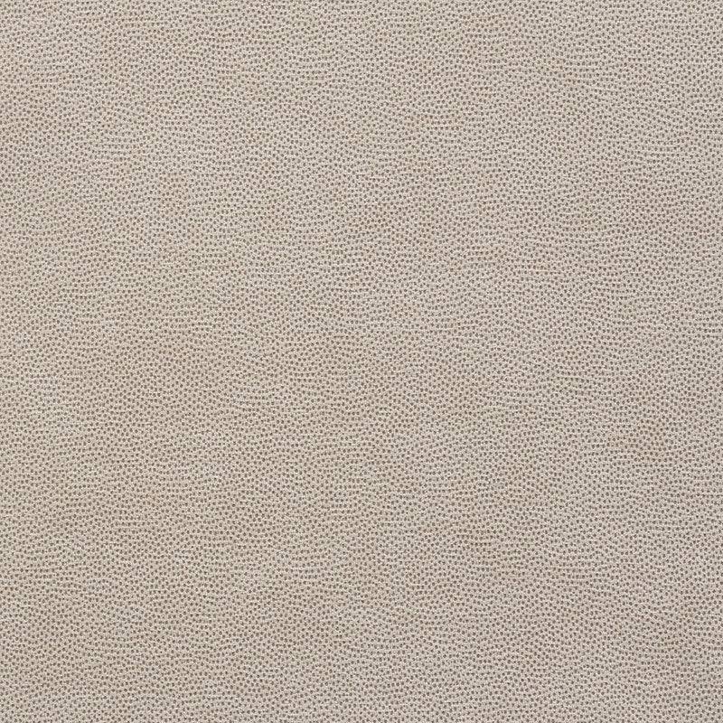 STINGRAY | Zinc