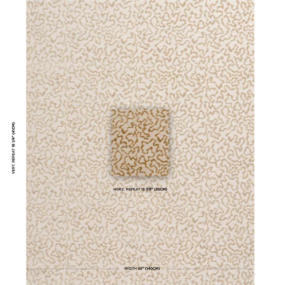 JANIS VELLUTO | CHAMPAGNE