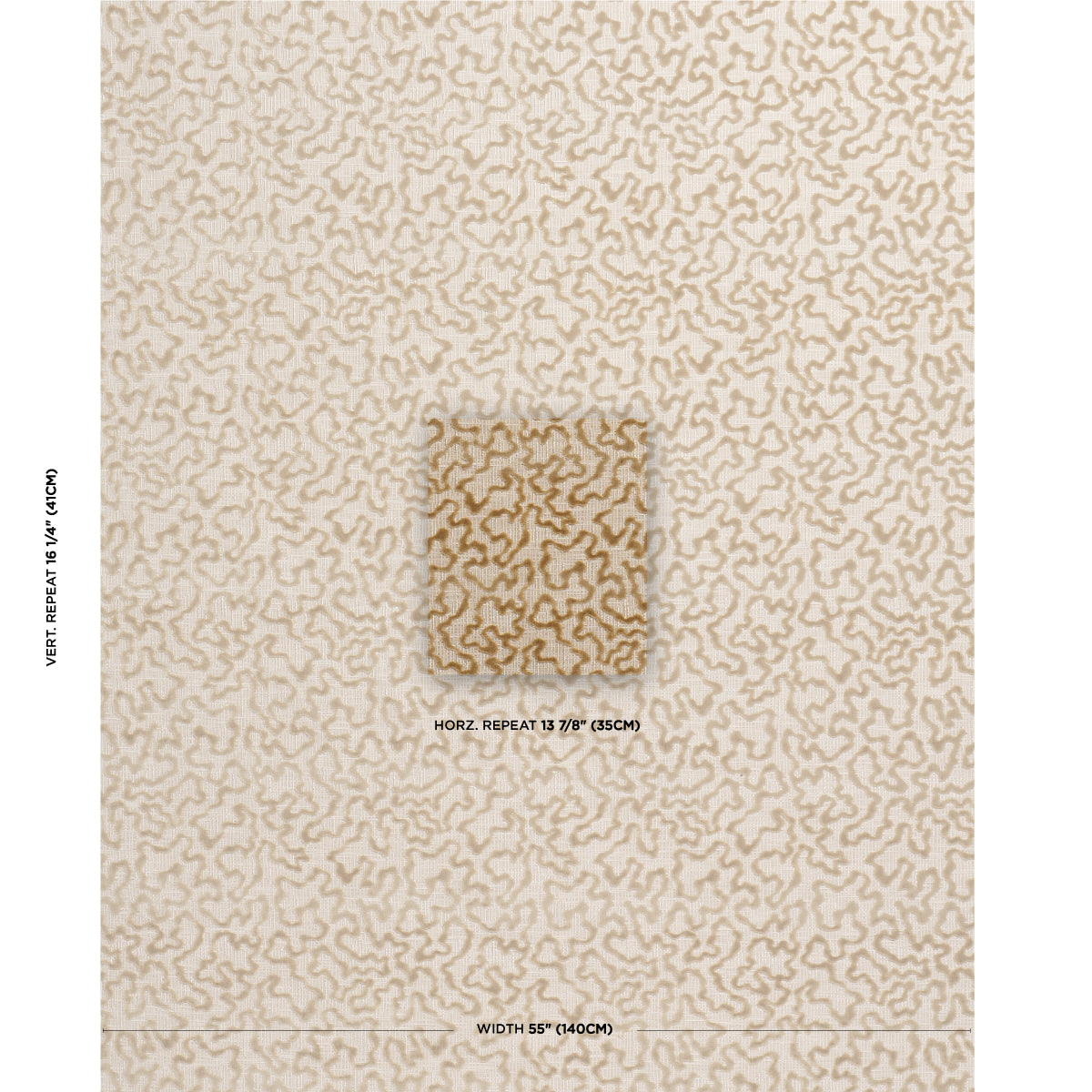 JANIS VELLUTO | CHAMPAGNE