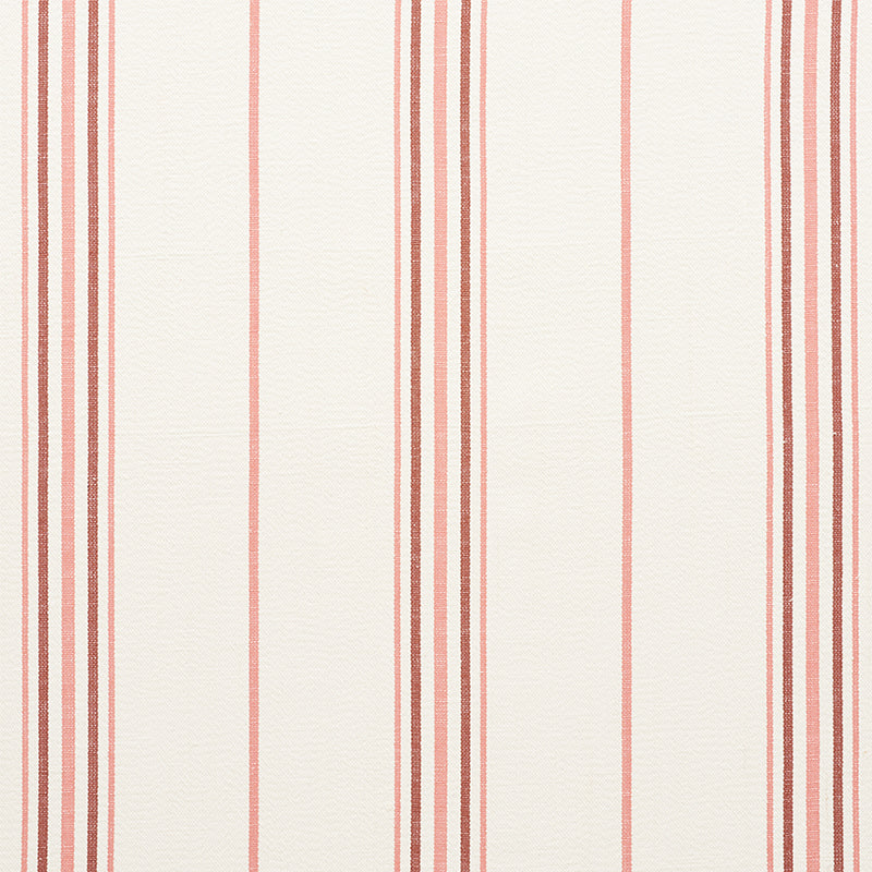 STRISCIA SCARPETTA | PALISSANDRO