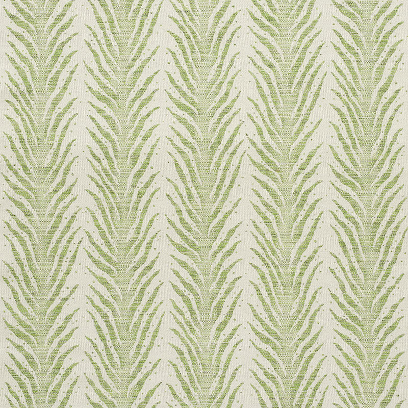 CREEPING FERN | Moss
