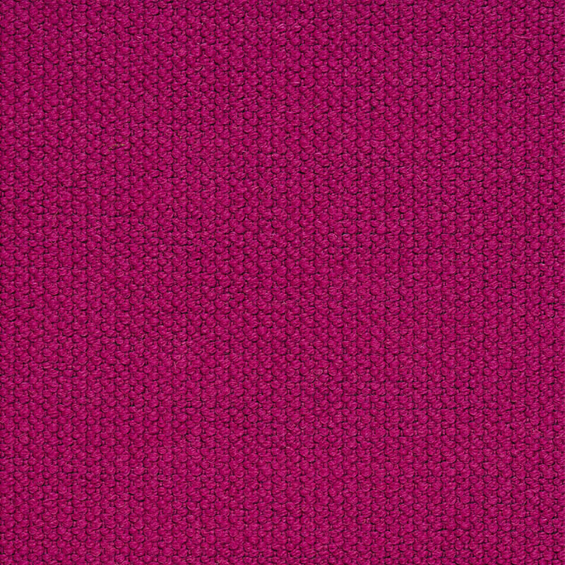 ALPINE | Fuchsia