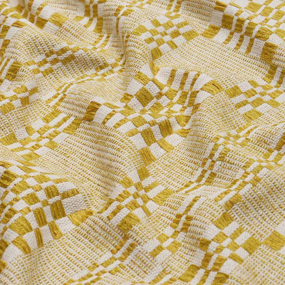 BRIMFIELD | Mimosa Glow