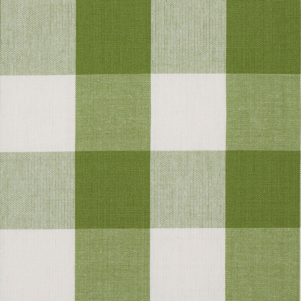 CAMDEN COTTON CHECK | Leaf
