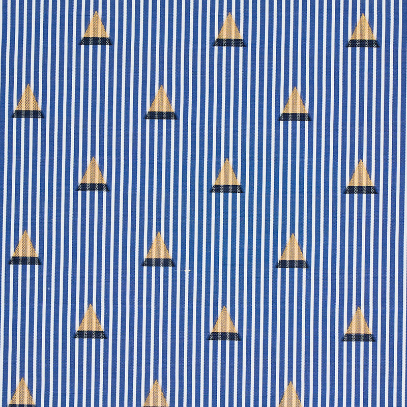 STRISCIA LUDUS | BLU