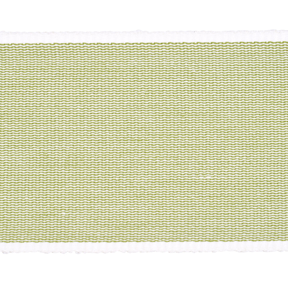 SANDPIPER TAPE WIDE | Green