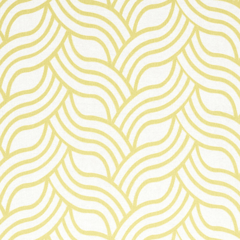 APPLICAZIONE SANGOMAR | CEDRO